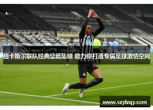 纽卡斯尔联队经典壁纸集锦 助力你打造专属足球激情空间